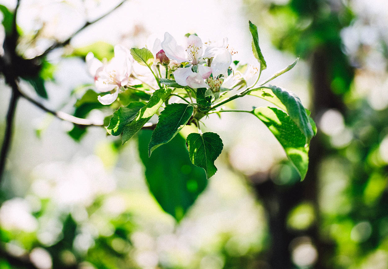 Pexels Markus Spiske 2261128 Kopier