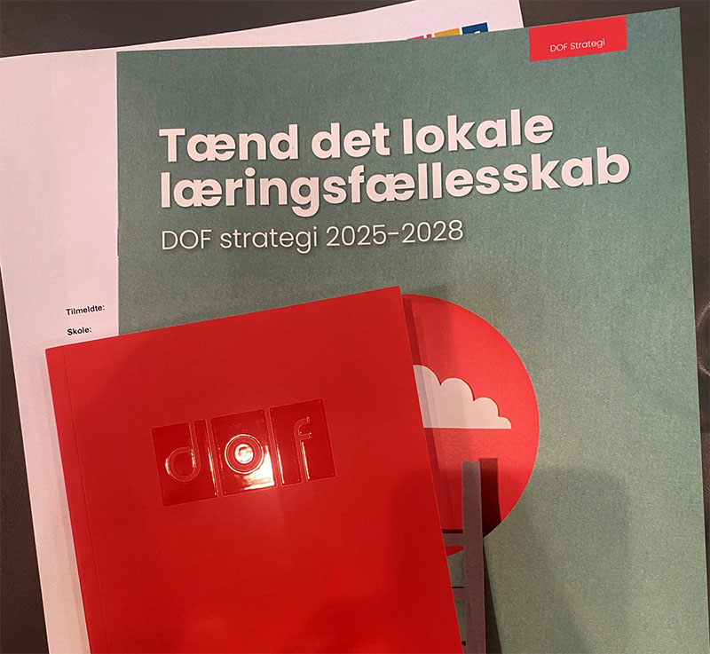 Den Lille Røde Bog (1)